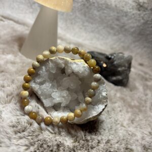 Armband - fossiel koraal kogel 6 mm